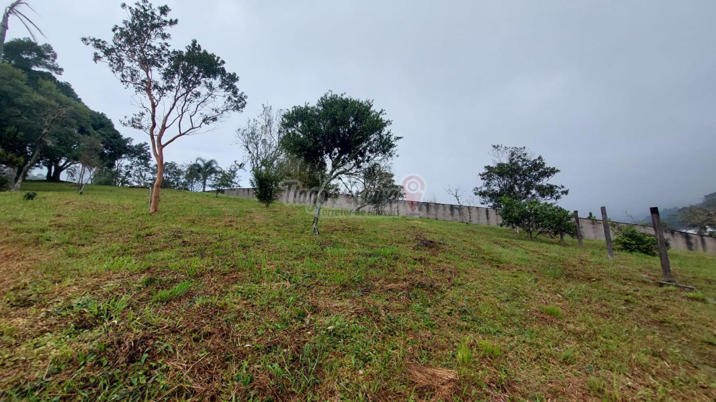 Sítio à venda com 3 quartos, 9659m² - Foto 4