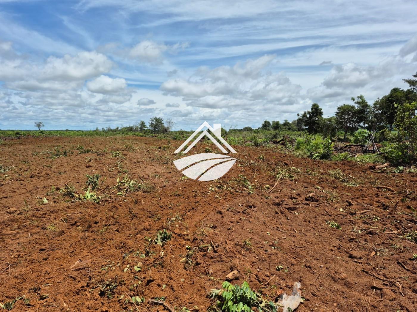 Fazenda à venda, 1m² - Foto 6