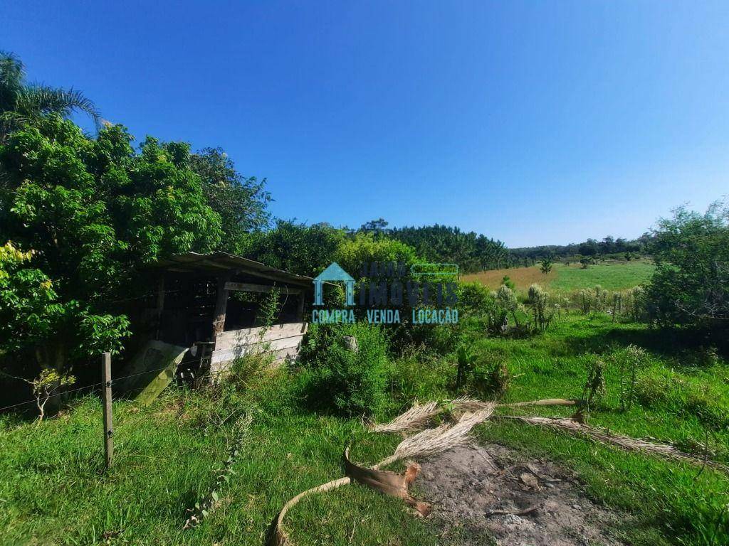 Sítio à venda com 2 quartos, 60000M2 - Foto 15