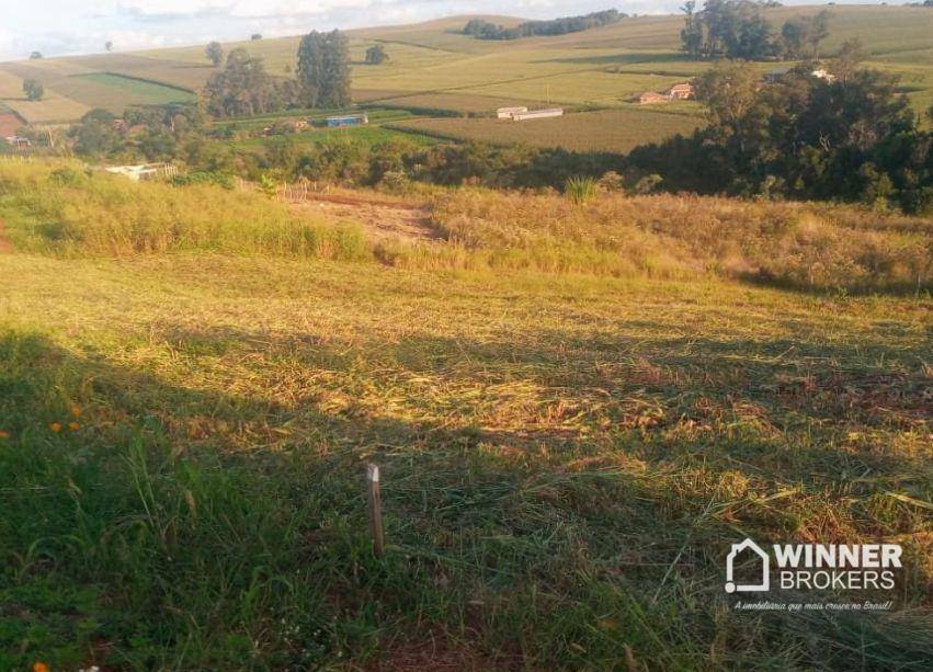 Chácara à venda, 1500M2 - Foto 3