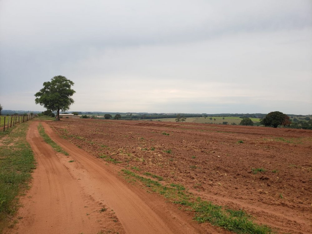 Fazenda à venda, 532400m² - Foto 5