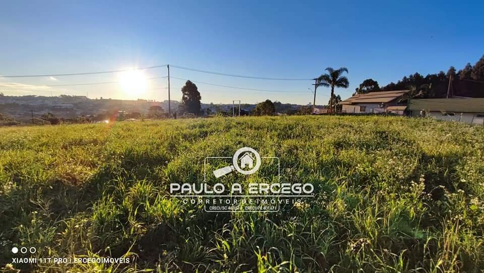 Chácara à venda com 1 quarto, 4125m² - Foto 7