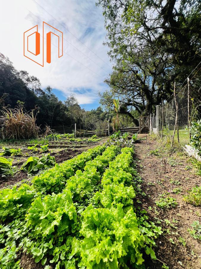 Chácara à venda, 10000m² - Foto 19
