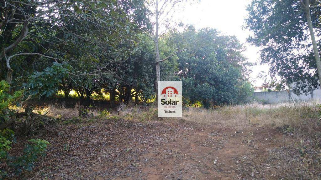 Sítio à venda com 3 quartos, 8000M2 - Foto 6