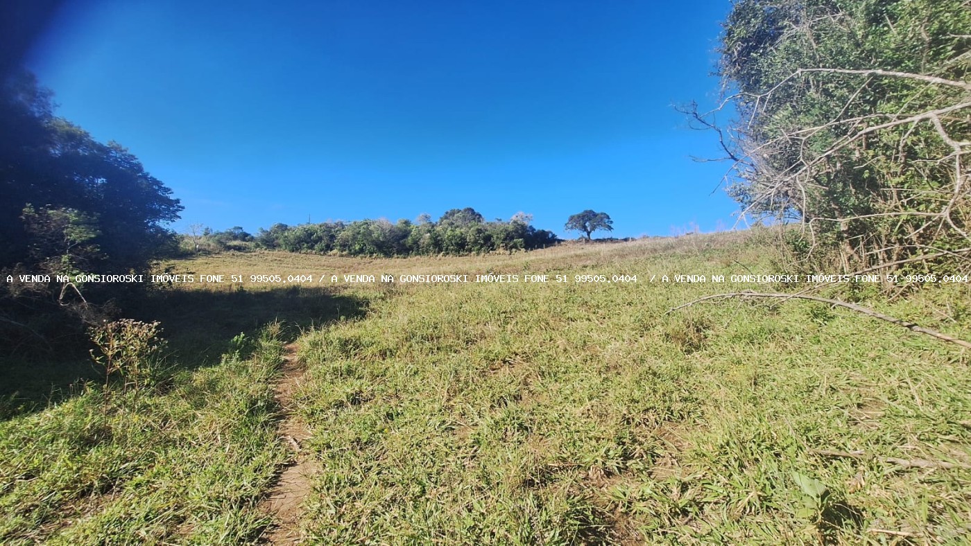 Sítio à venda com 4 quartos, 46500m² - Foto 25