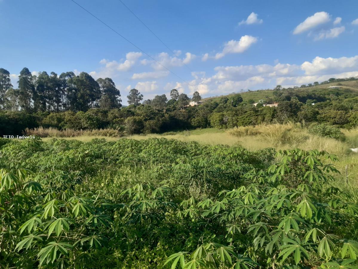 Sítio à venda com 2 quartos, 10000m² - Foto 27