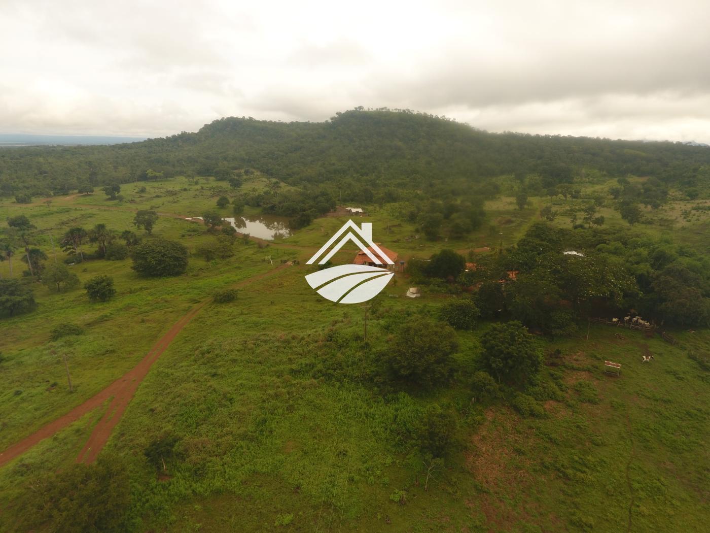 Fazenda à venda, 1m² - Foto 14