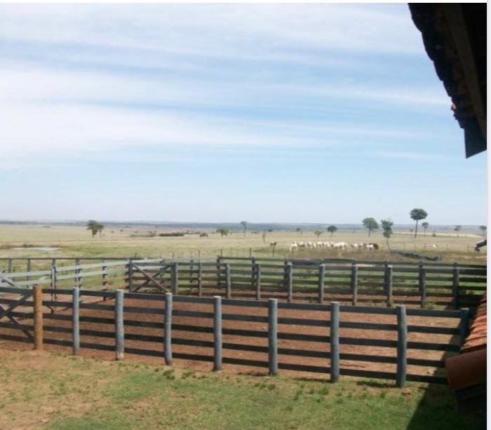 Fazenda à venda, 1007m² - Foto 17