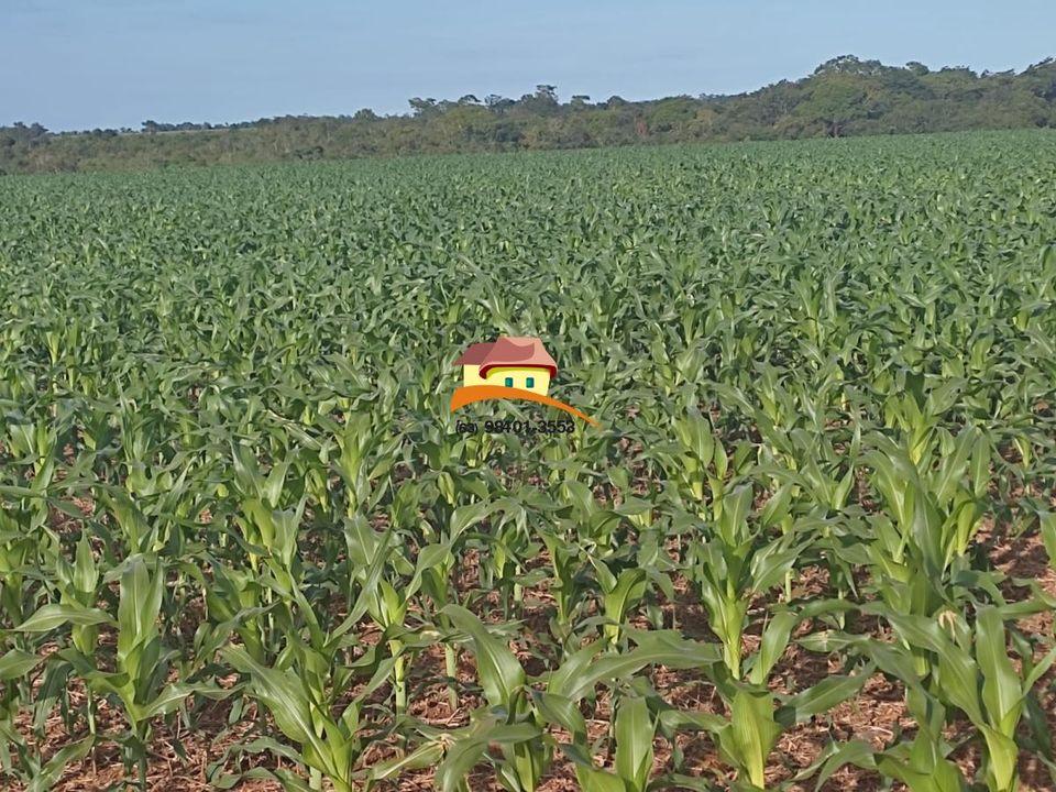 Fazenda à venda, 1m² - Foto 40