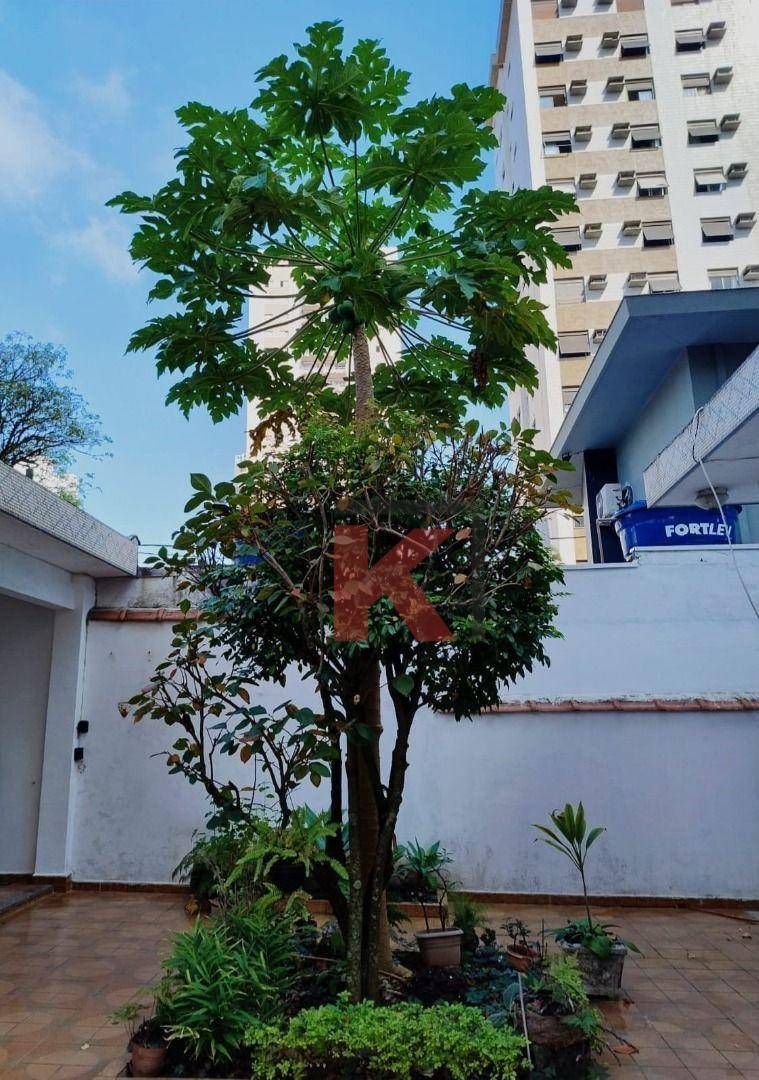 Casa para alugar com 4 quartos, 167m² - Foto 48