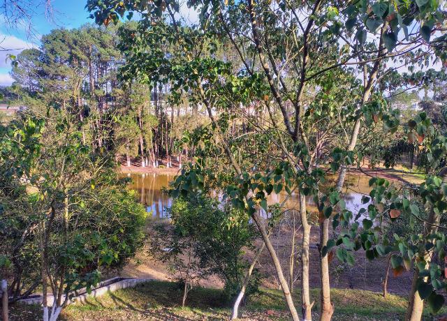 Terreno à venda, 621m² - Foto 23