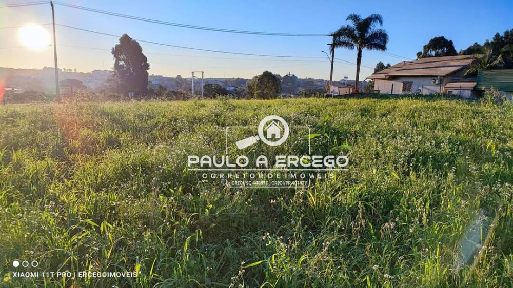 Chácara à venda com 1 quarto, 4125m² - Foto 12