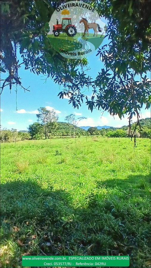 Fazenda à venda com 5 quartos, 96m² - Foto 43