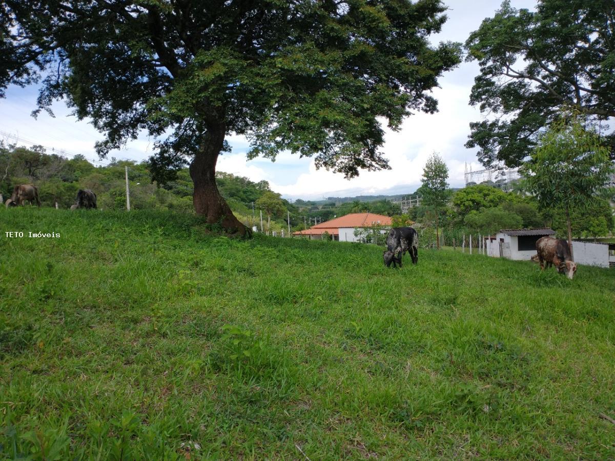 Sítio à venda com 4 quartos, 13500m² - Foto 10
