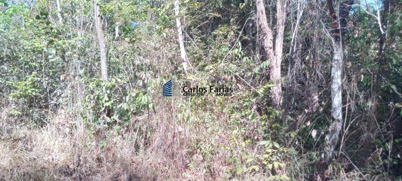 Chácara à venda, 20000m² - Foto 15