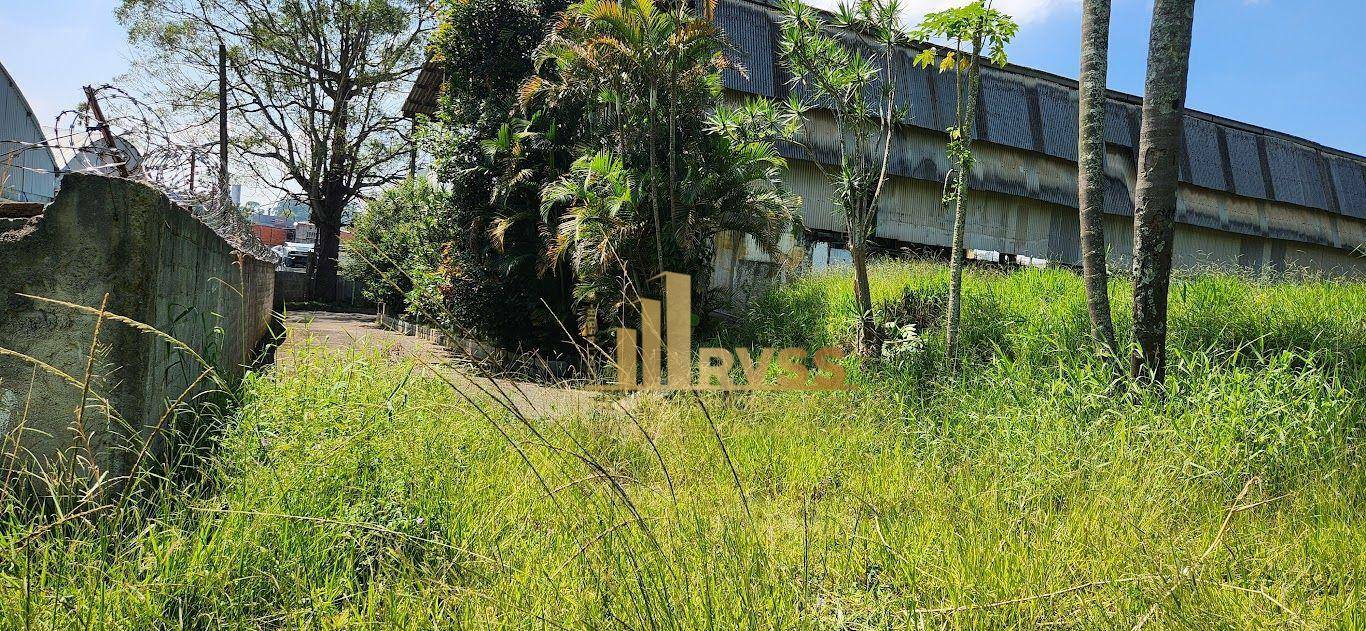 Depósito-Galpão-Armazém à venda e aluguel, 3135m² - Foto 6