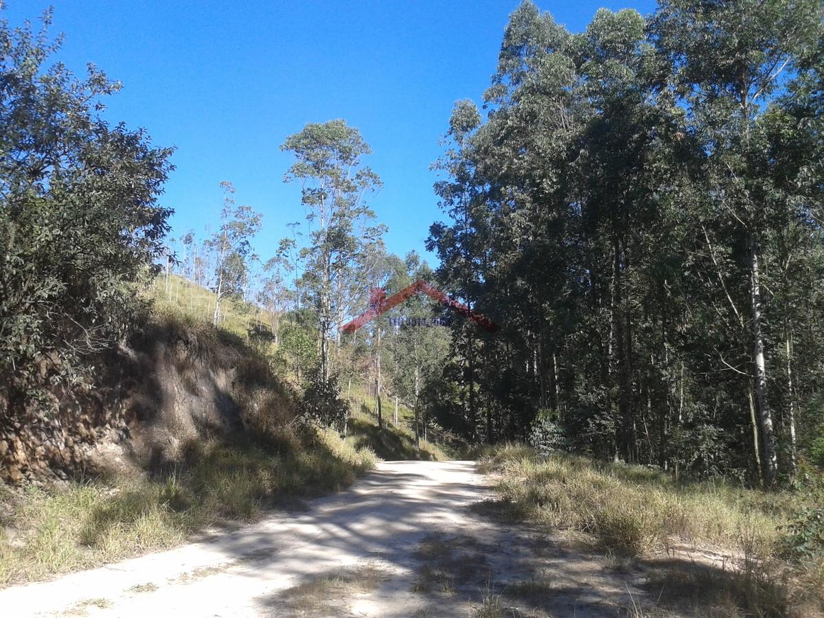 Sítio à venda, 24000m² - Foto 1