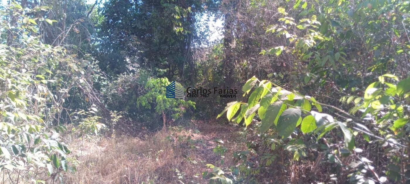 Chácara à venda, 20000m² - Foto 10