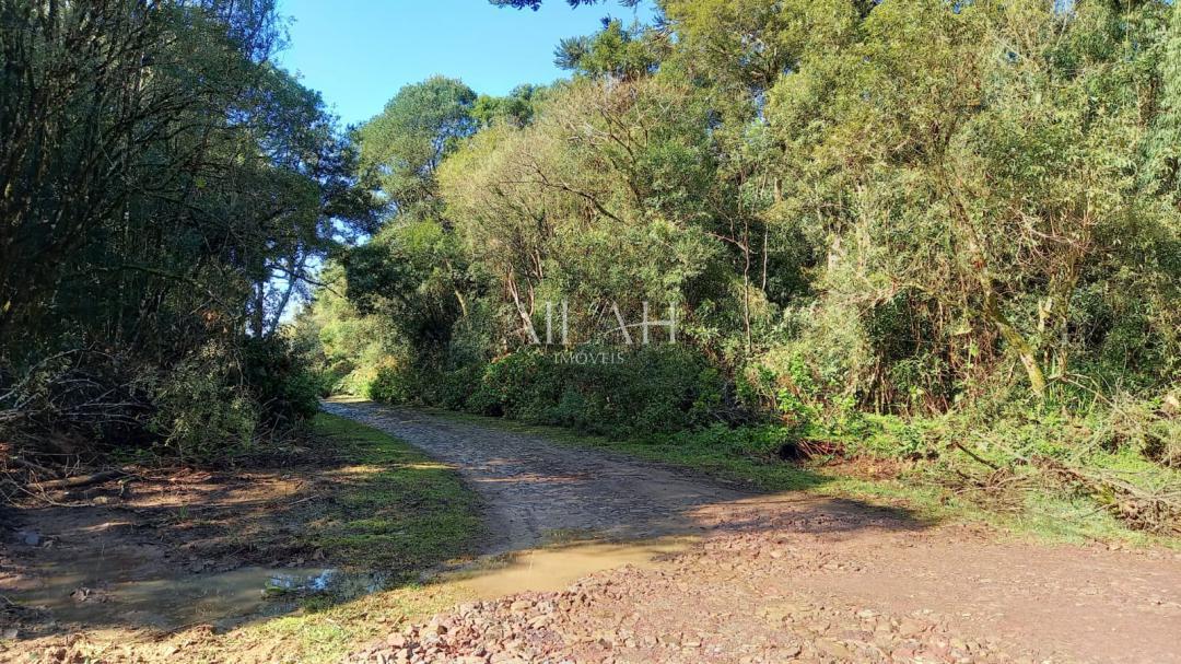 Terreno à venda, 750m² - Foto 1