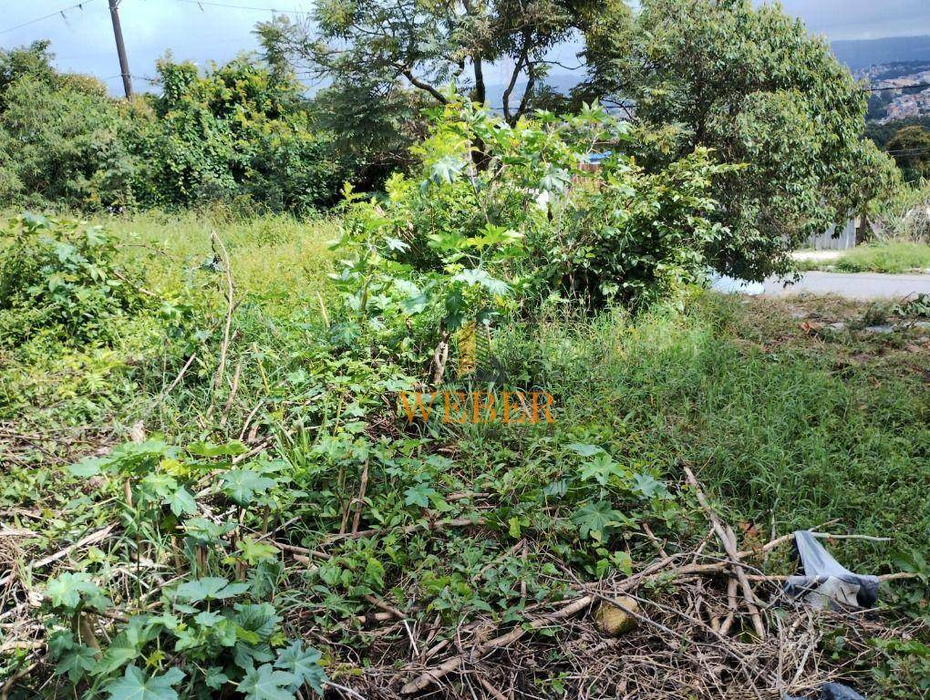 Terreno à venda, 364M2 - Foto 5