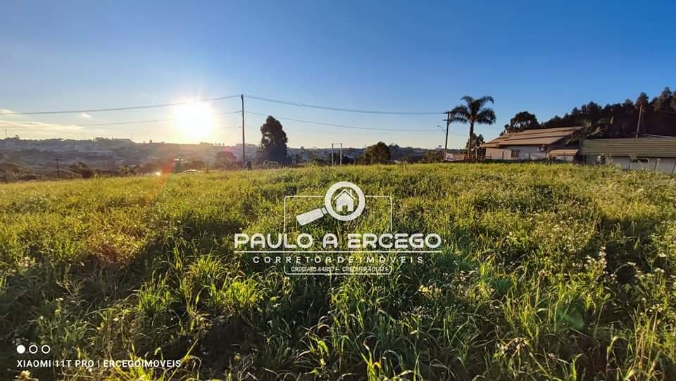 Chácara à venda com 1 quarto, 4125m² - Foto 9