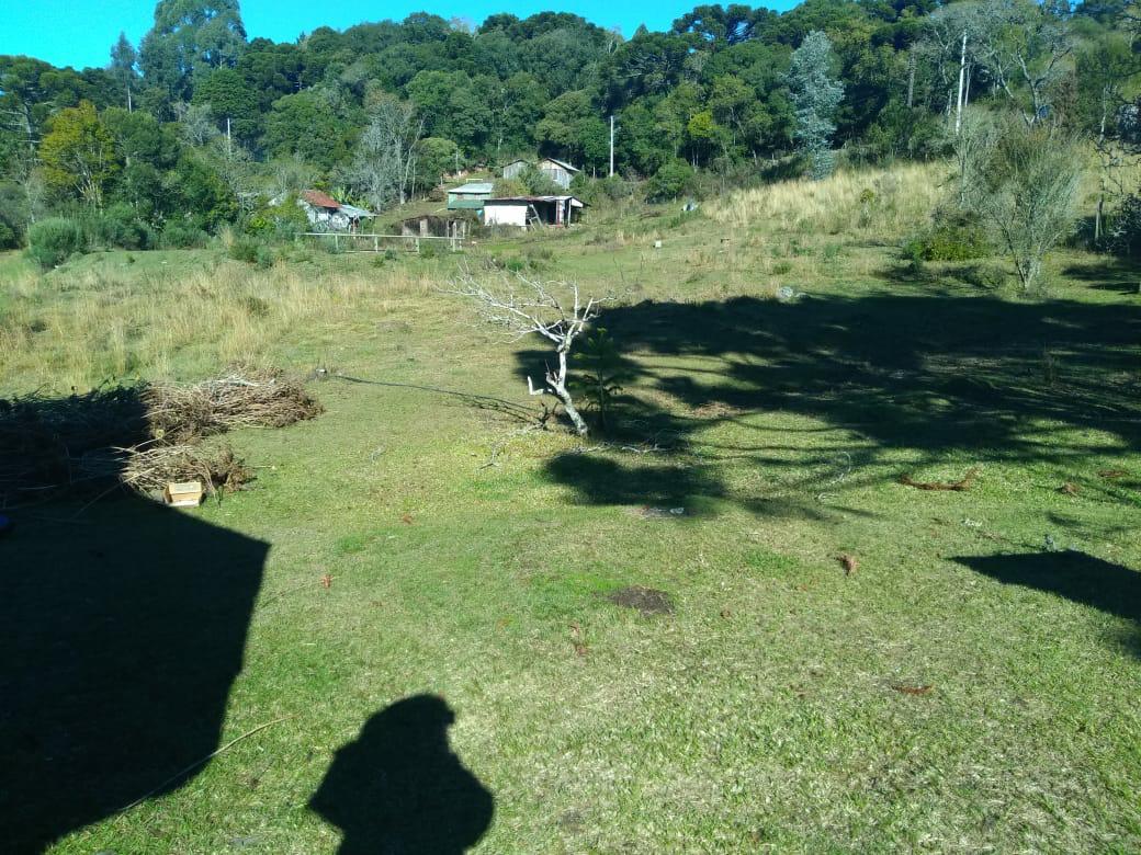 Sítio à venda com 1 quarto, 130m² - Foto 32