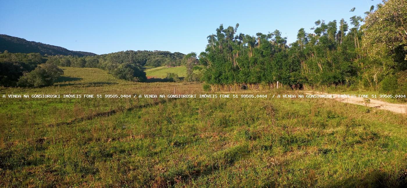 Fazenda à venda com 3 quartos, 55000m² - Foto 15