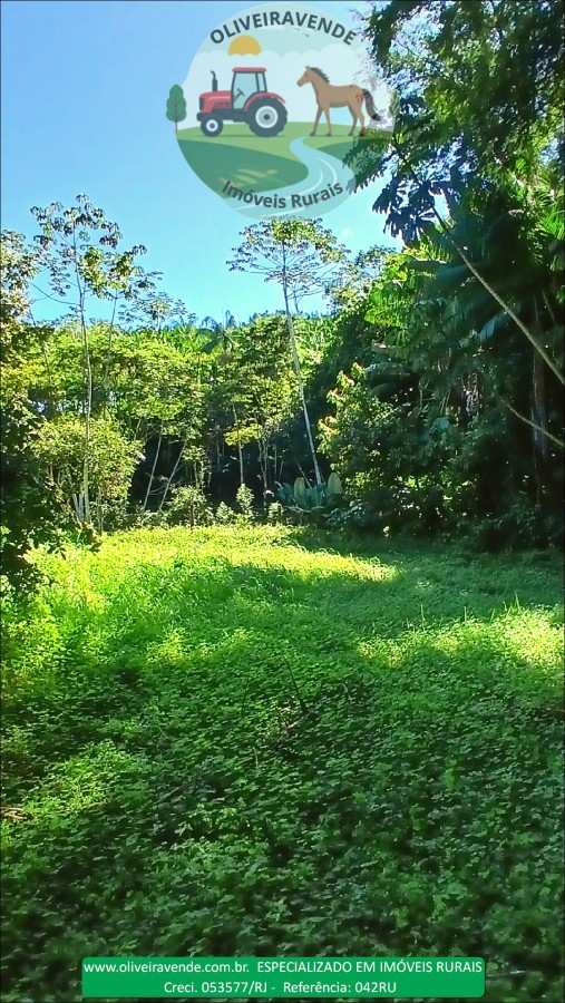 Fazenda à venda com 5 quartos, 96m² - Foto 5
