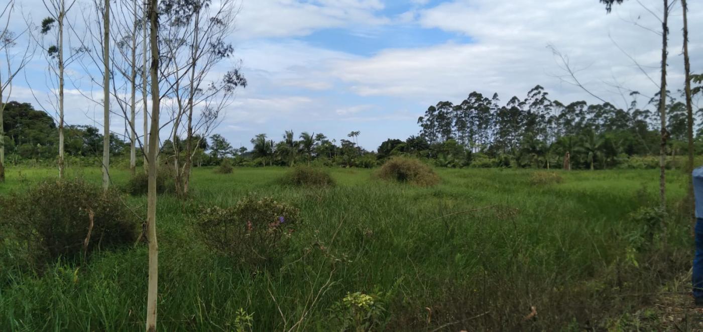 Chácara à venda, 22000m² - Foto 10