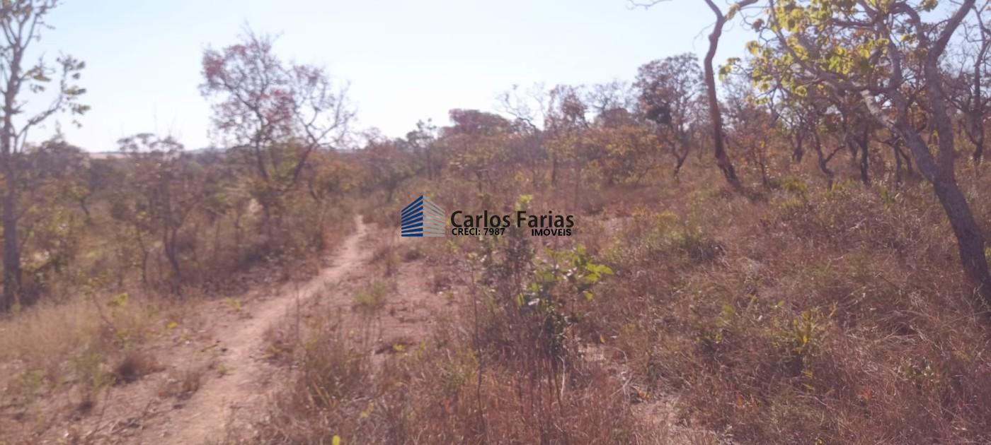 Chácara à venda, 20000m² - Foto 25