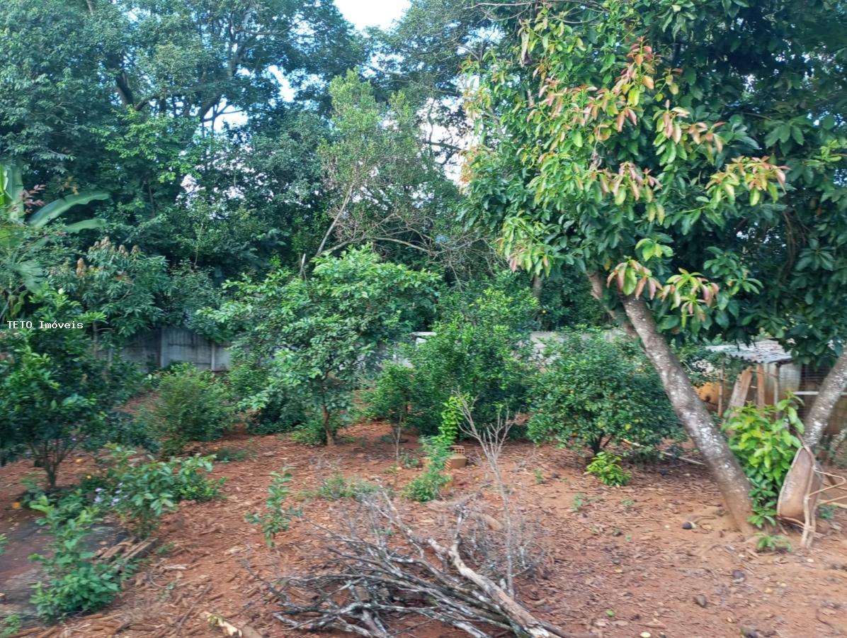 Sítio à venda com 3 quartos, 1000m² - Foto 45