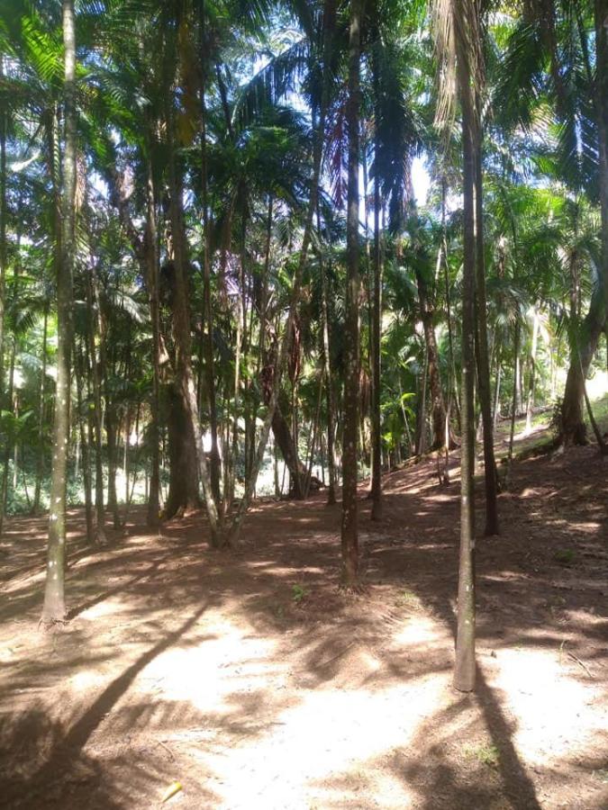 Chácara à venda com 3 quartos, 24004m² - Foto 17