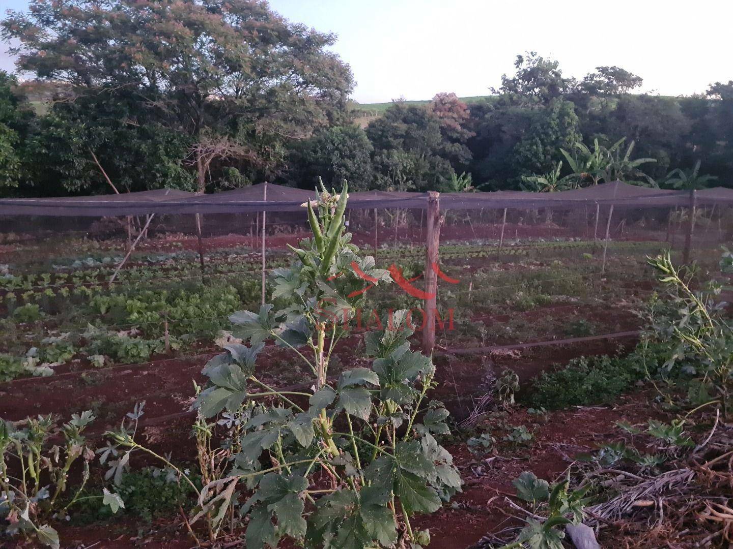 Chácara à venda com 4 quartos, 300m² - Foto 27