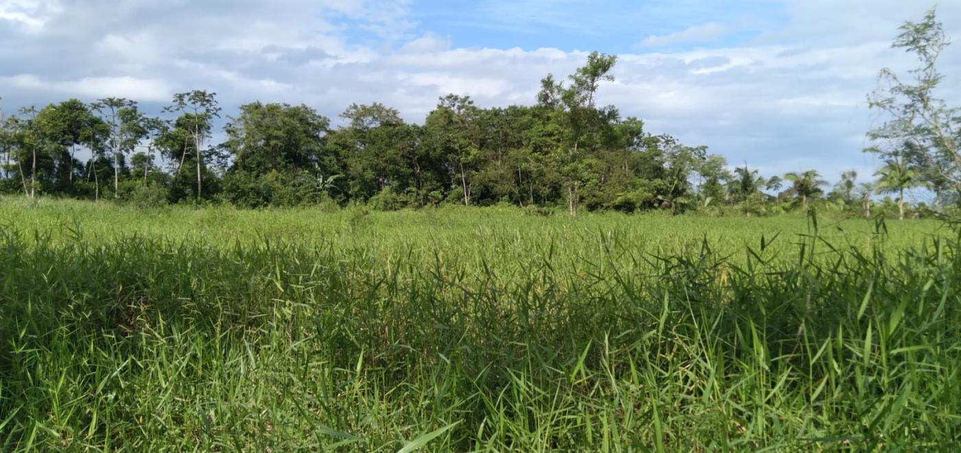 Chácara à venda, 22000m² - Foto 2