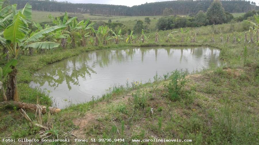 Sítio à venda com 2 quartos, 35000m² - Foto 5