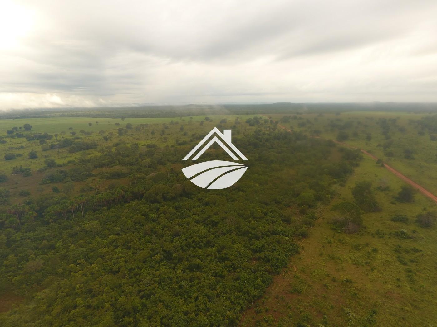 Fazenda à venda, 1m² - Foto 22