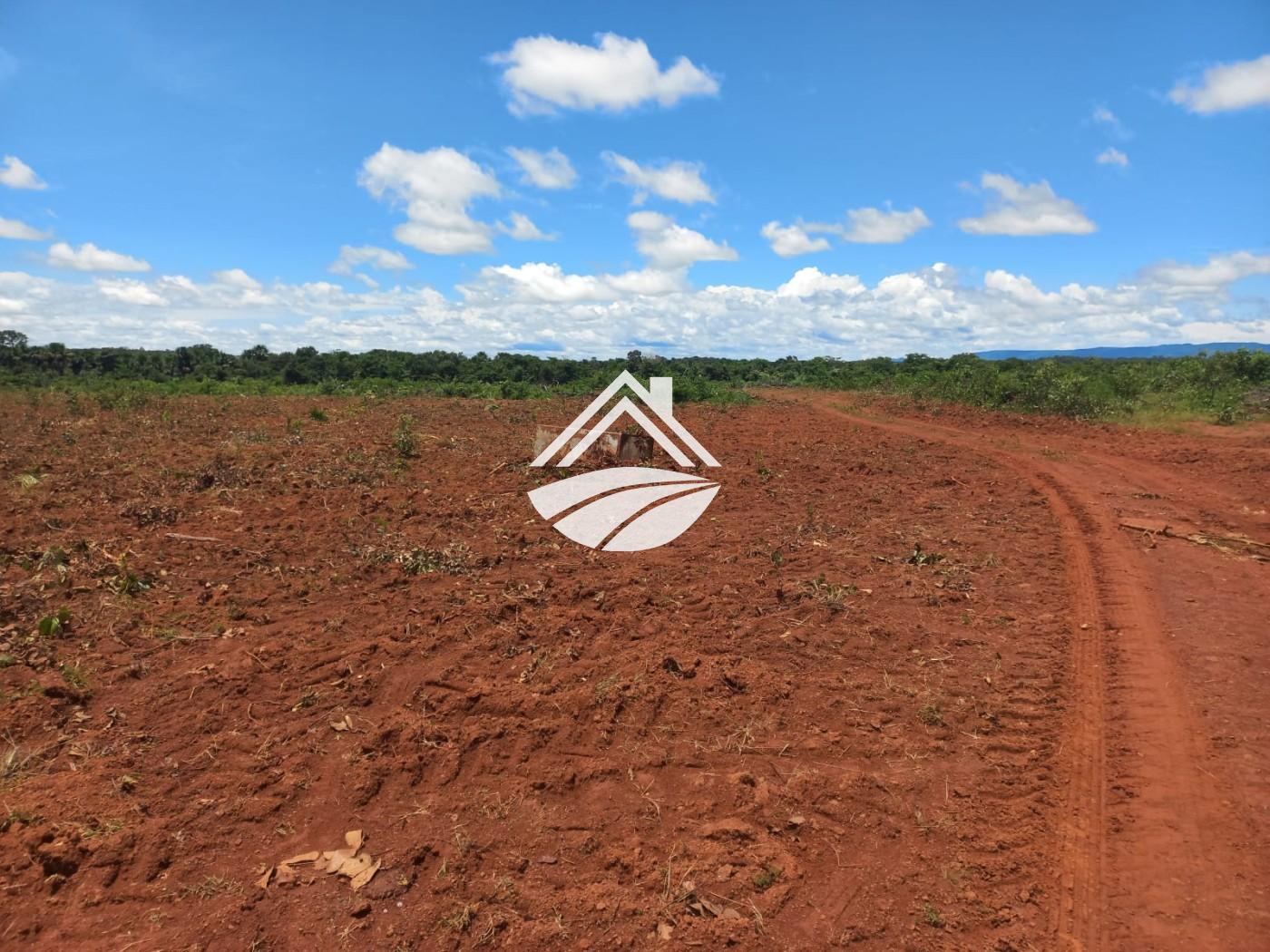 Fazenda à venda, 1m² - Foto 17