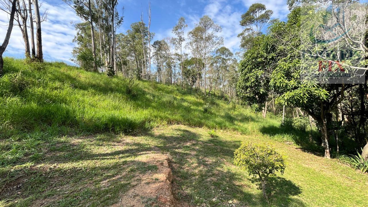 Sítio à venda com 3 quartos, 300m² - Foto 14