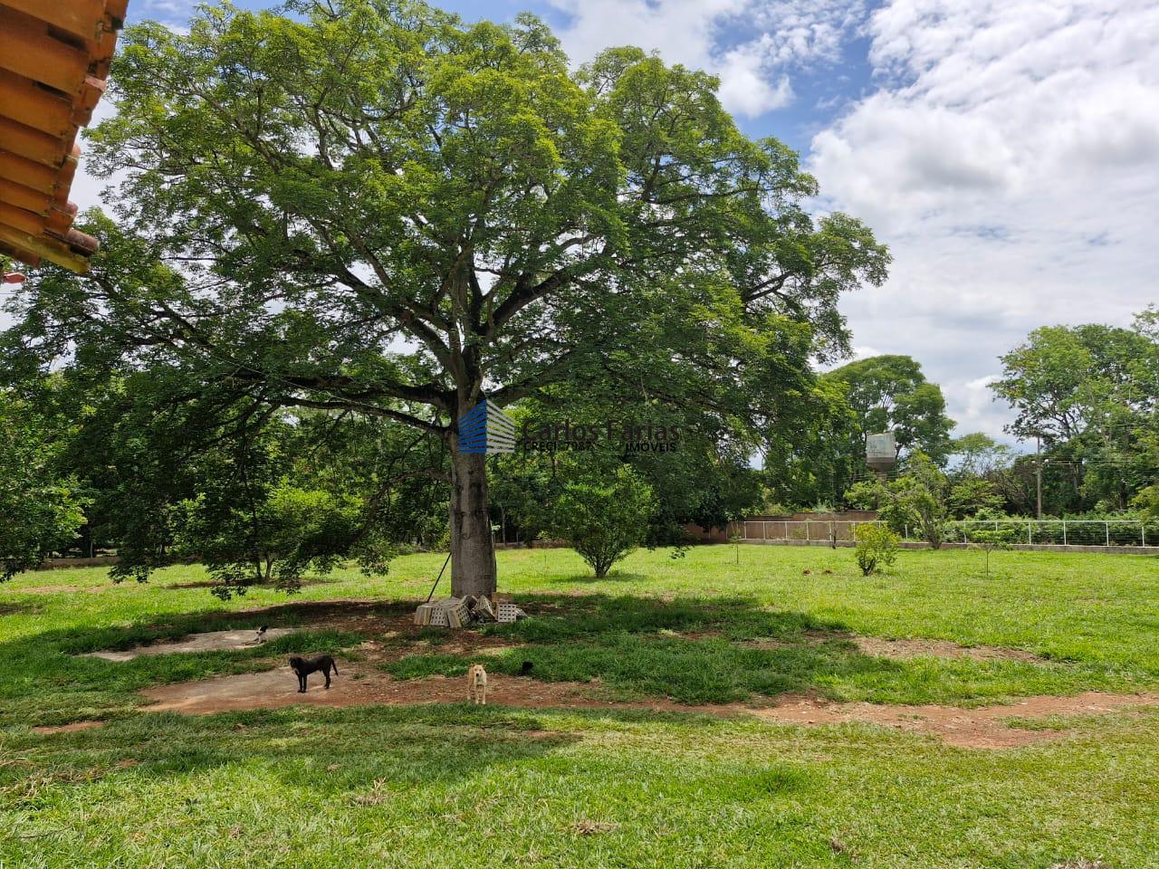 Chácara à venda com 3 quartos, 250m² - Foto 6