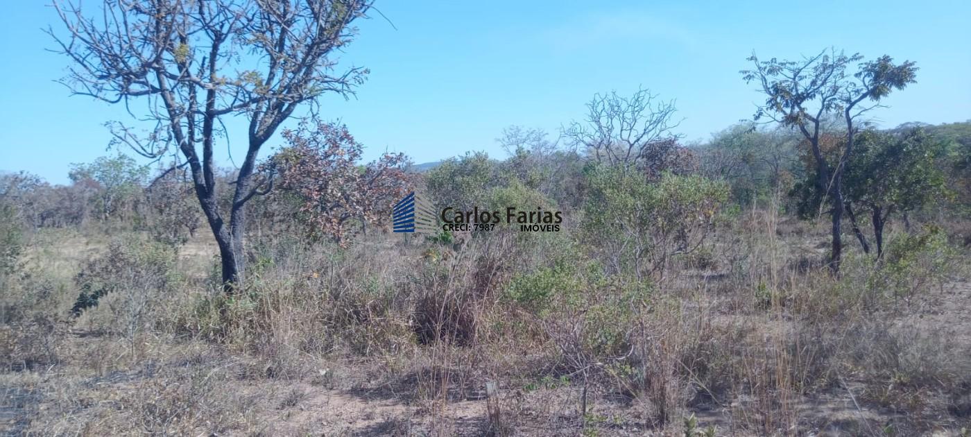 Chácara à venda, 20000m² - Foto 12