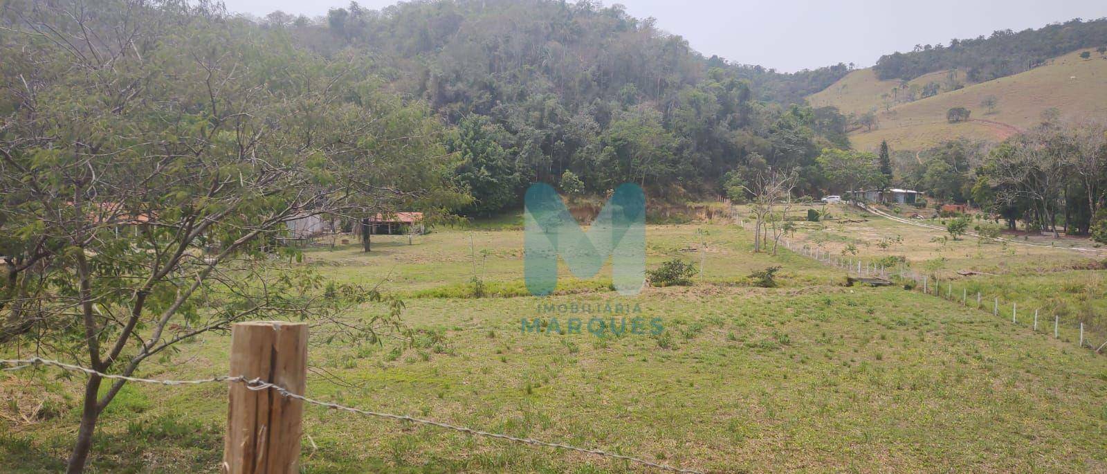 Terreno à venda, 66000M2 - Foto 4