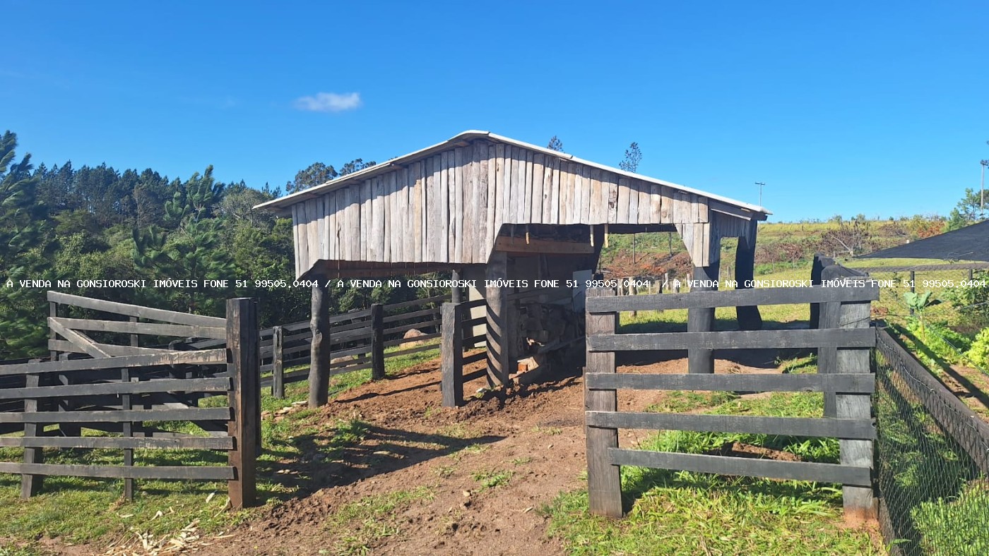 Sítio à venda com 2 quartos, 60000m² - Foto 13