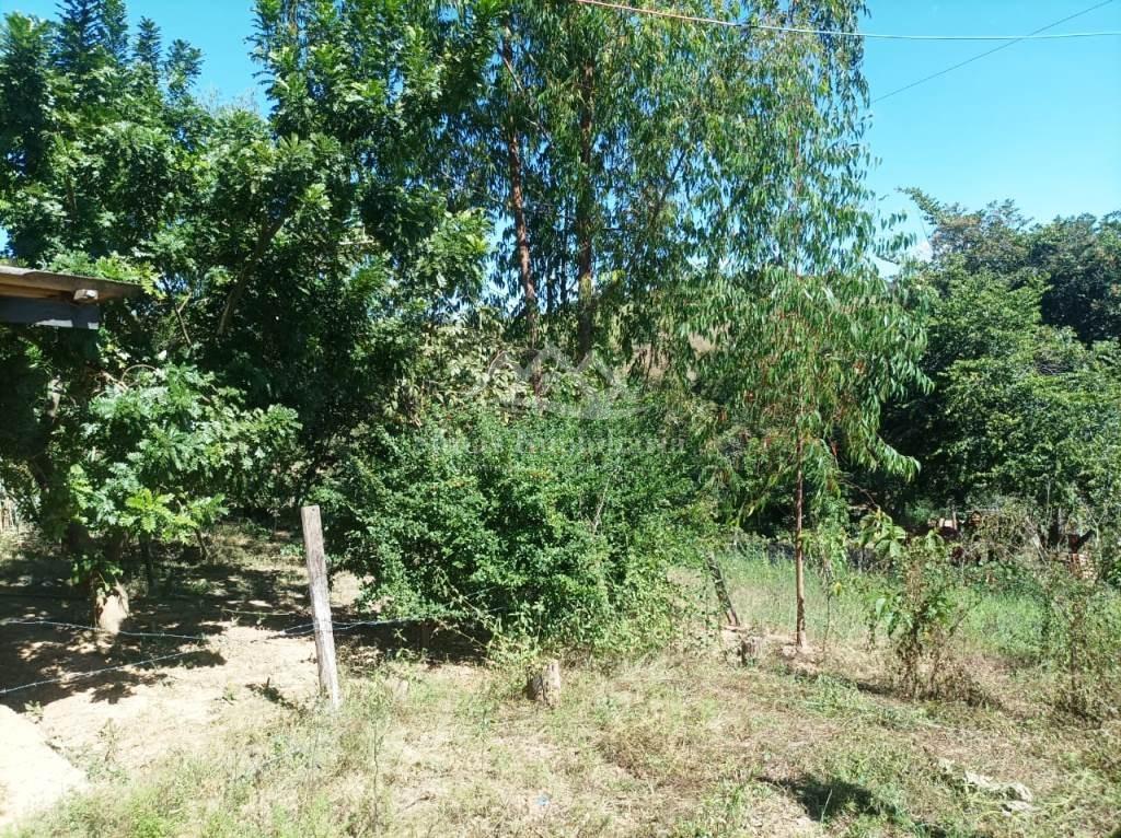 Sítio à venda com 1 quarto, 8000m² - Foto 30