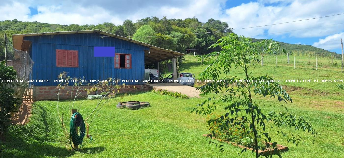 Chácara à venda com 2 quartos, 10000m² - Foto 3