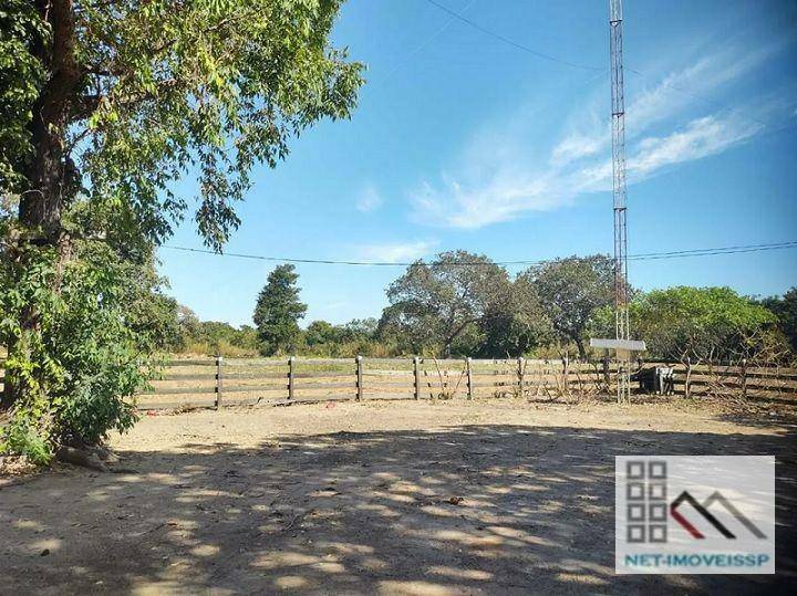 Fazenda à venda com 5 quartos, 500m² - Foto 3