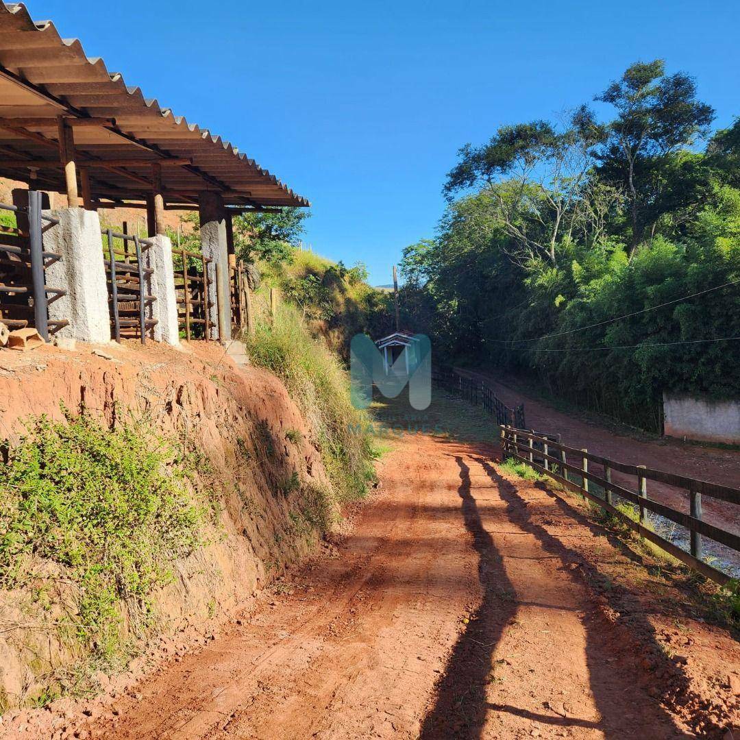 Sítio à venda com 3 quartos, 250m² - Foto 4