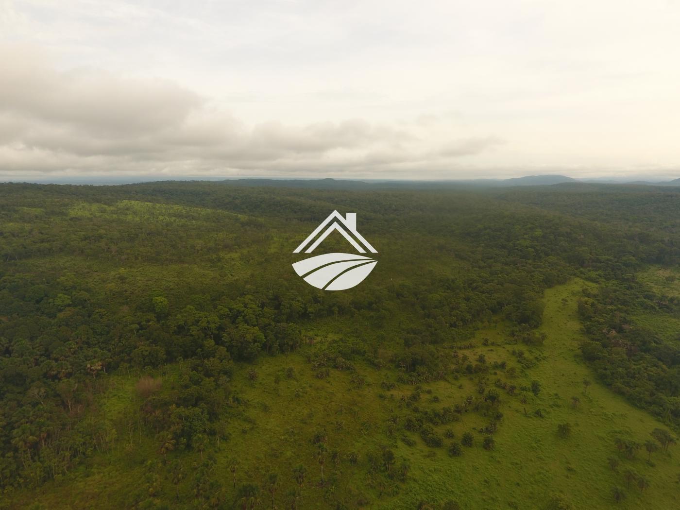 Fazenda à venda, 1m² - Foto 5