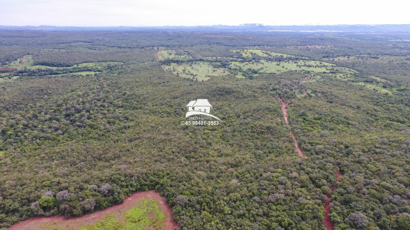 Fazenda à venda, 1m² - Foto 30