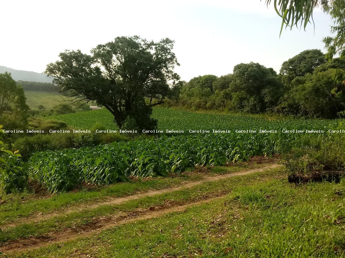 Sítio à venda com 3 quartos, 60000m² - Foto 32
