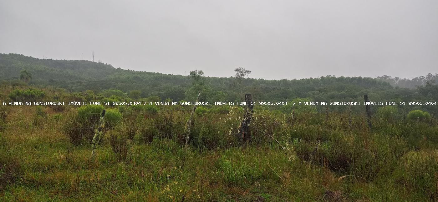Sítio à venda com 3 quartos, 70000m² - Foto 17